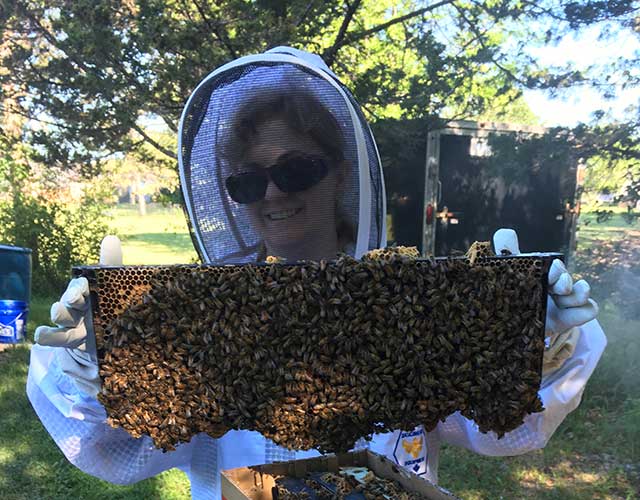 Holding bee hives at our apitourism experience,